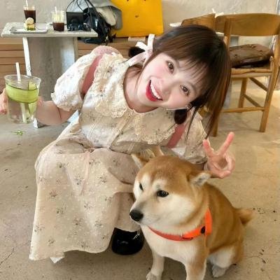 真爱达人战