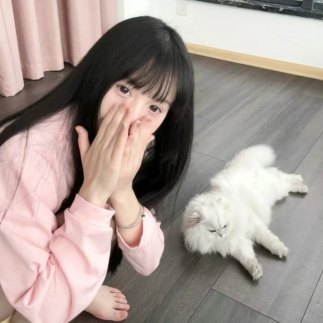 来去美国2